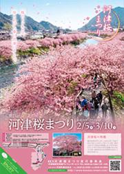 河津桜散策マップ